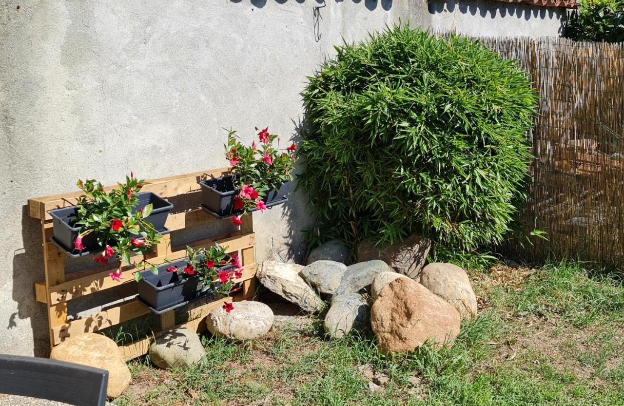 La Tana Dei Corgi Bed & Breakfast Moncrivello Eksteriør bilde